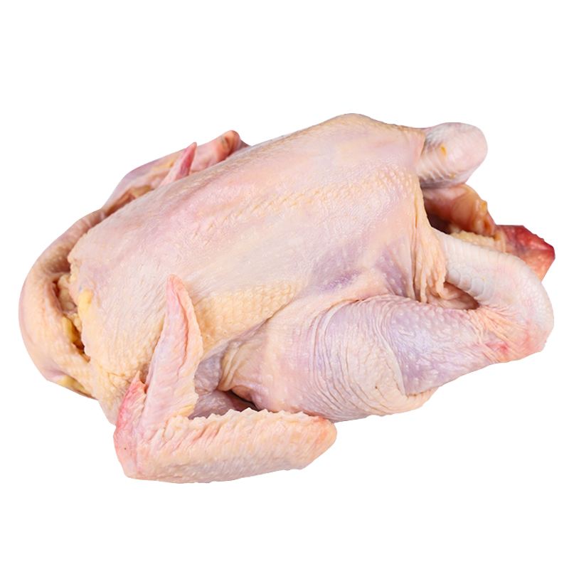 生态农品，来自安庆太湖的自然馈赠——农家散养生态仔鸡